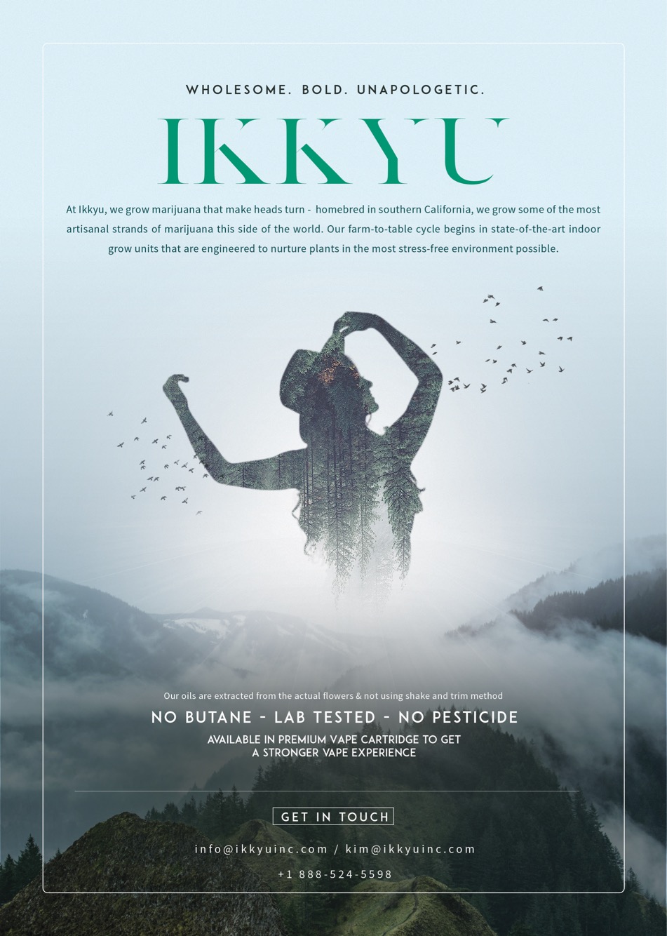 Ikkyu cannabis brand poster: wholesome, bold, unapologetic