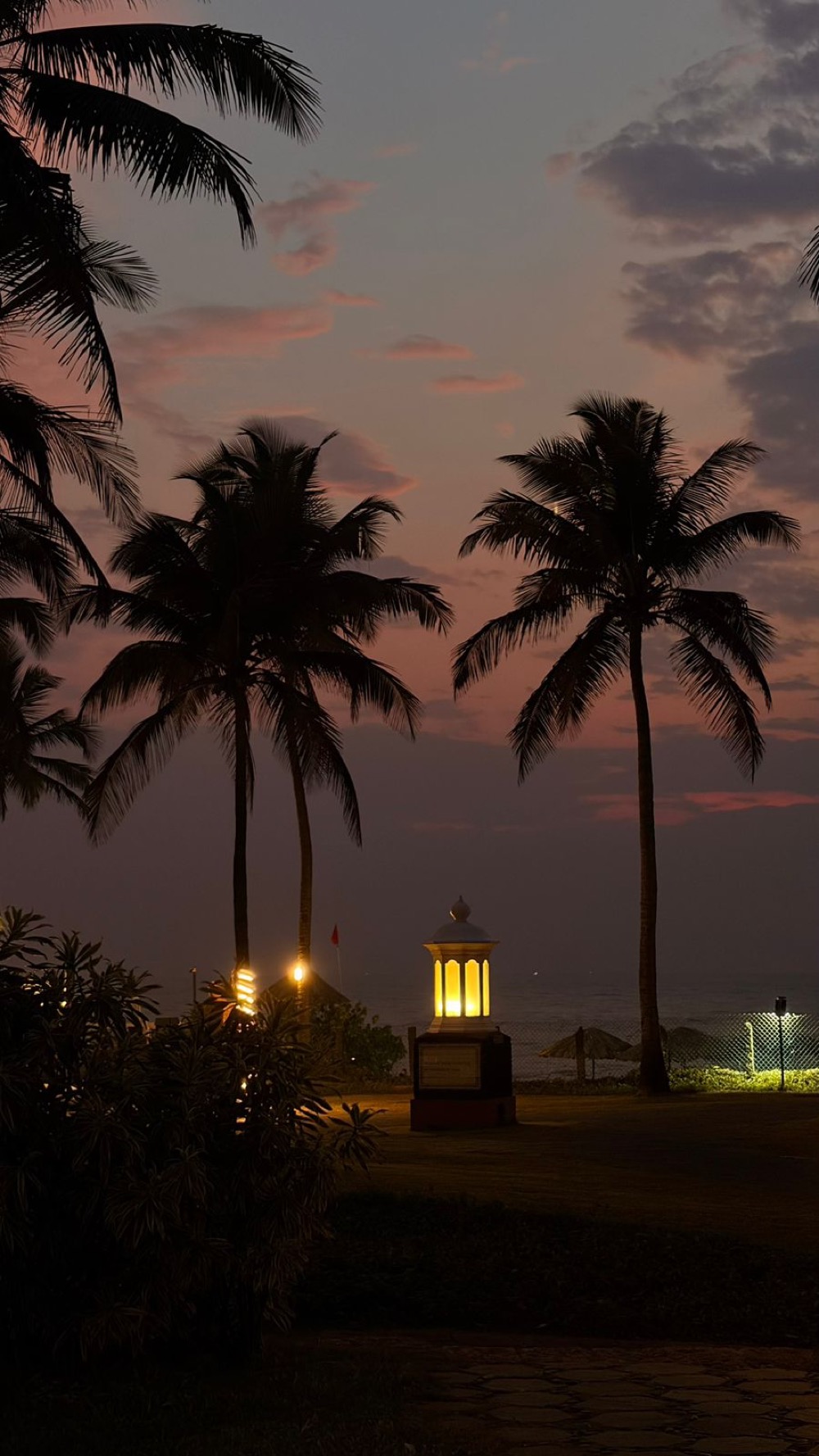 Palm trees silhouetted at dusk with a lit lantern
